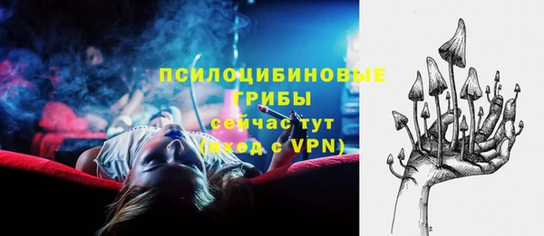 MESCALINE Вяземский