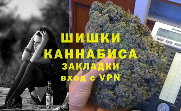дживик Вязьма