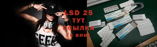дживик Вязьма