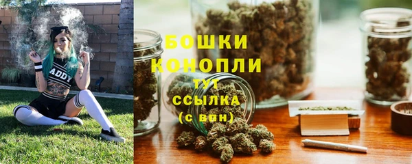 дживик Вязьма