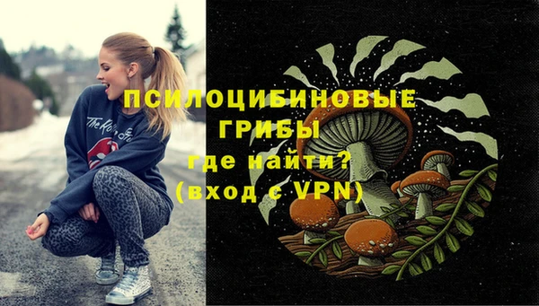 дживик Вязьма
