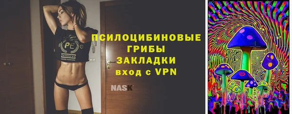 дживик Вязьма