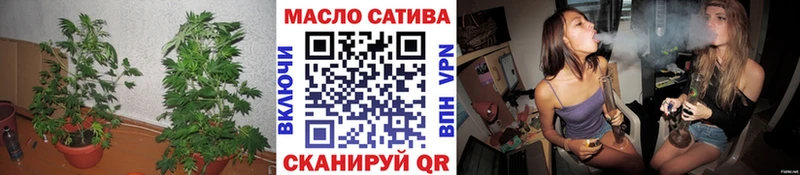 мега ССЫЛКА  как найти закладки  Петровск  Дистиллят ТГК гашишное масло 