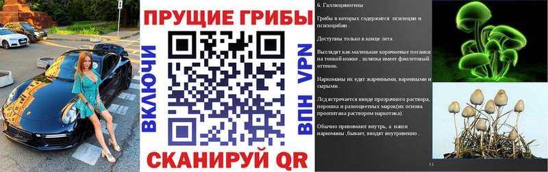 даркнет как зайти Петровск Галлюциногенные грибы мицелий купить сайты